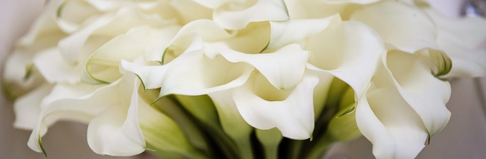 California Escape Weddings