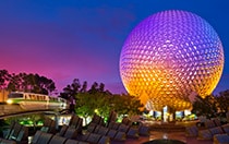Epcot®