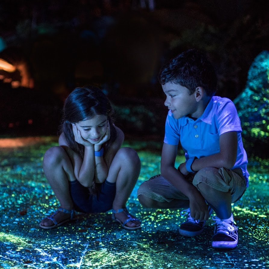 A brother and sister marveling in wonder at the bioluminescence of Pandora – The World of Avatar