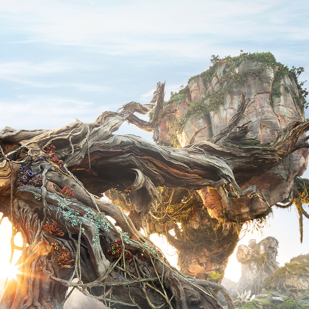 The iconic centerpiece of Disney’s Animal Kingdom park illuminates during Tree of Life Awakenings
